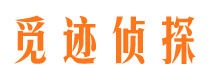 丰镇市调查公司